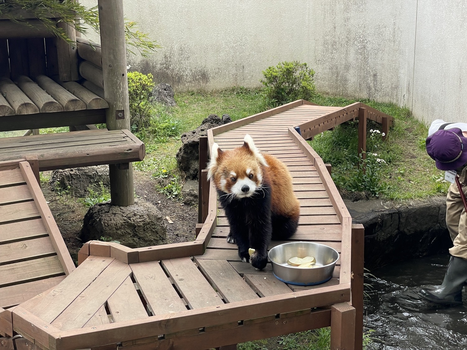 楽寿園