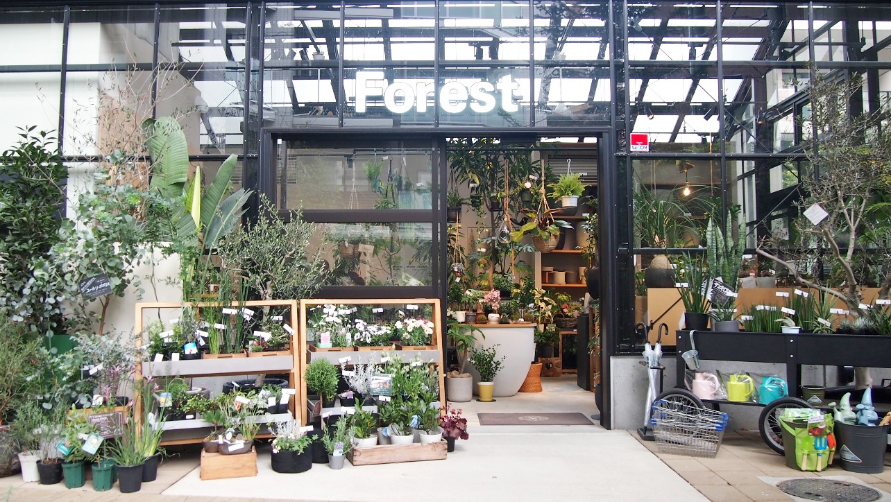流山おおたかの森Forestショップ外観
