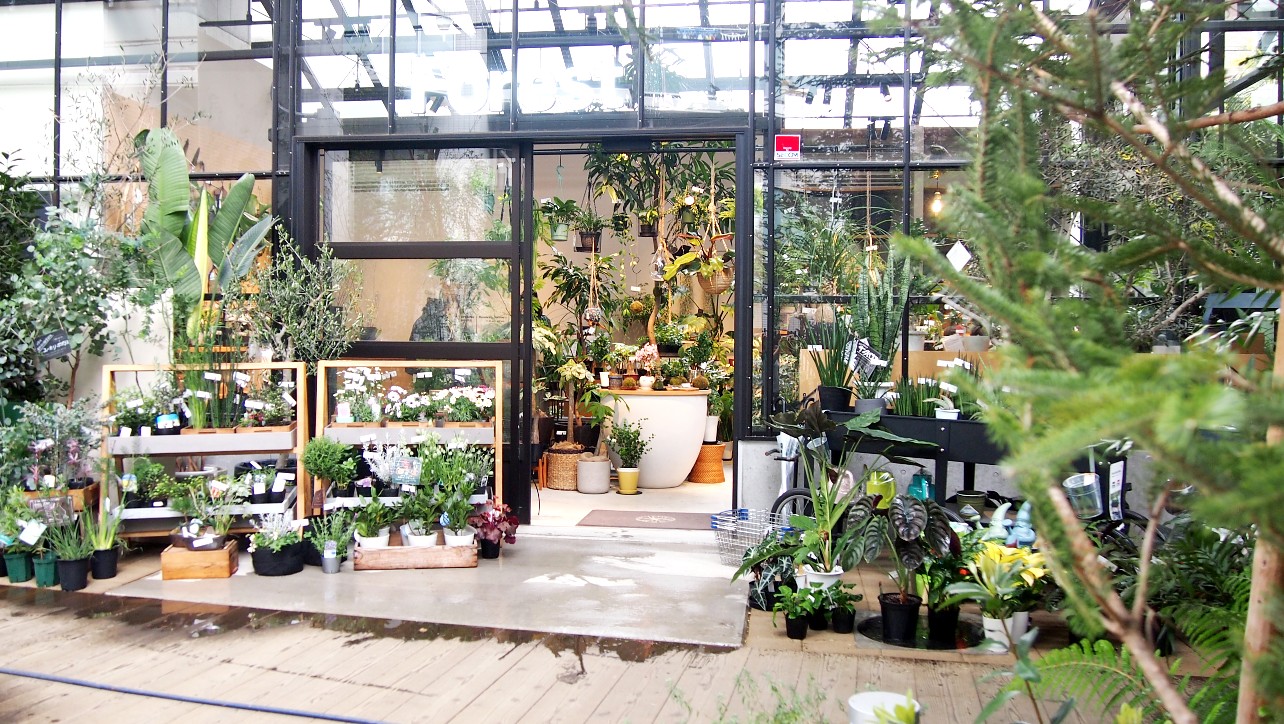 流山おおたかの森Forestお店の入り口