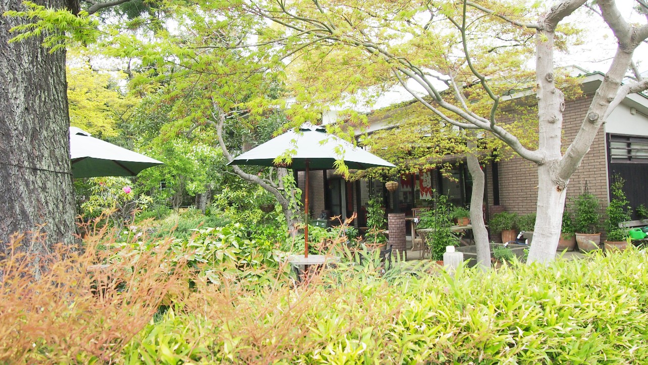 流山本町・杜のアトリエ黎明の建物外観と庭