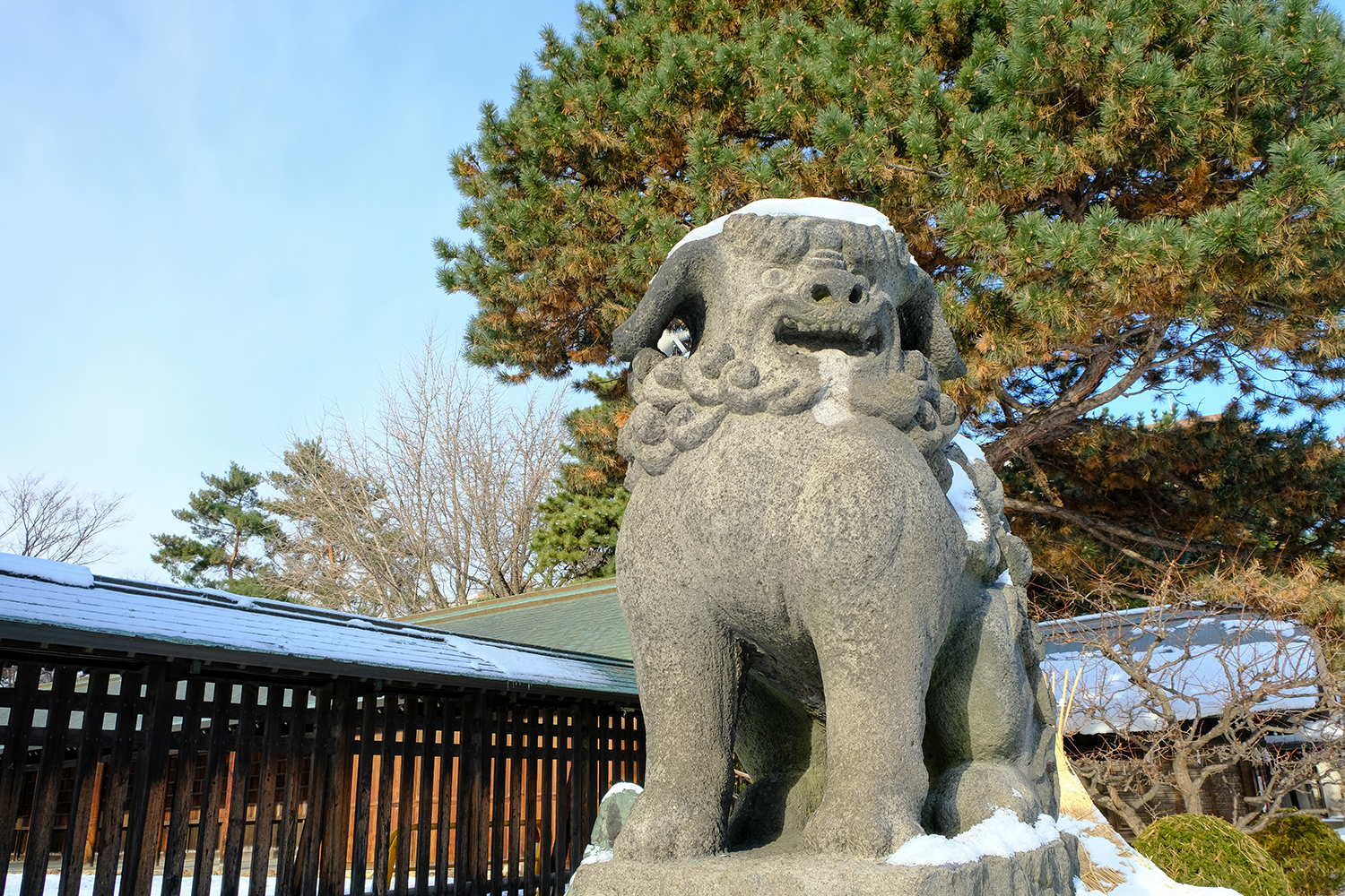 札幌護国神社の狛犬