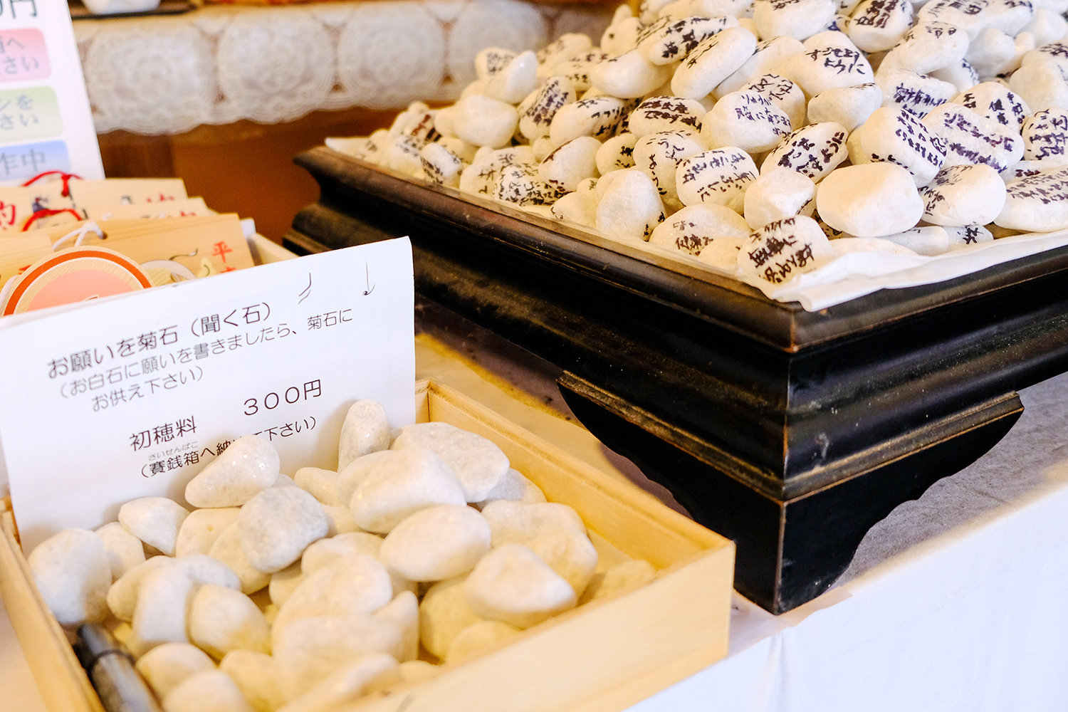 札幌多賀神社の菊石