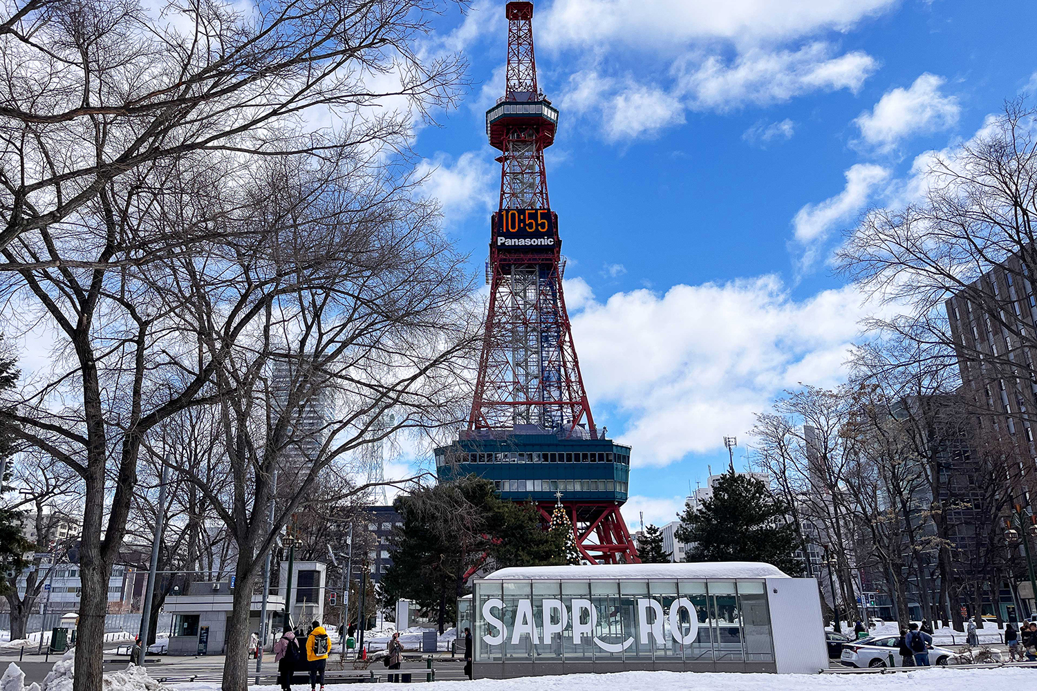 大通公園から見たさっぽろテレビ塔