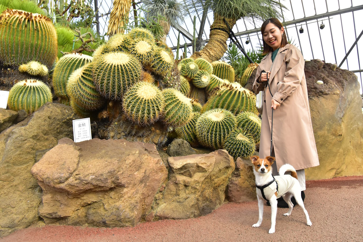 伊豆シャボテン動物公園