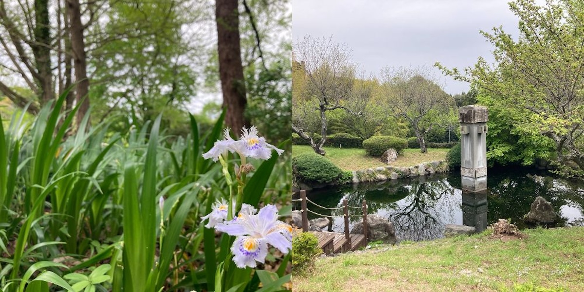 辻󠄀村植物公園