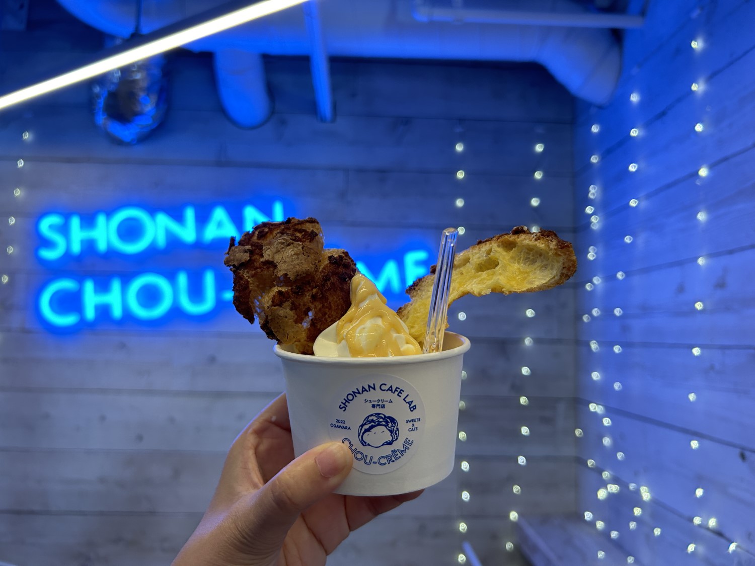 湘南カフェラボ4