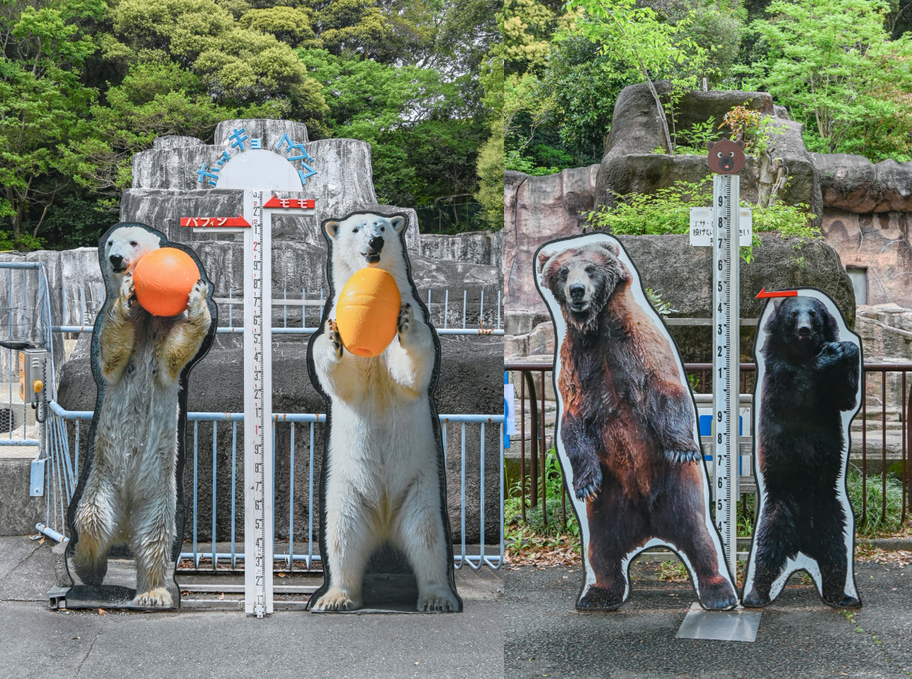 浜松市動物園_等身大パネル