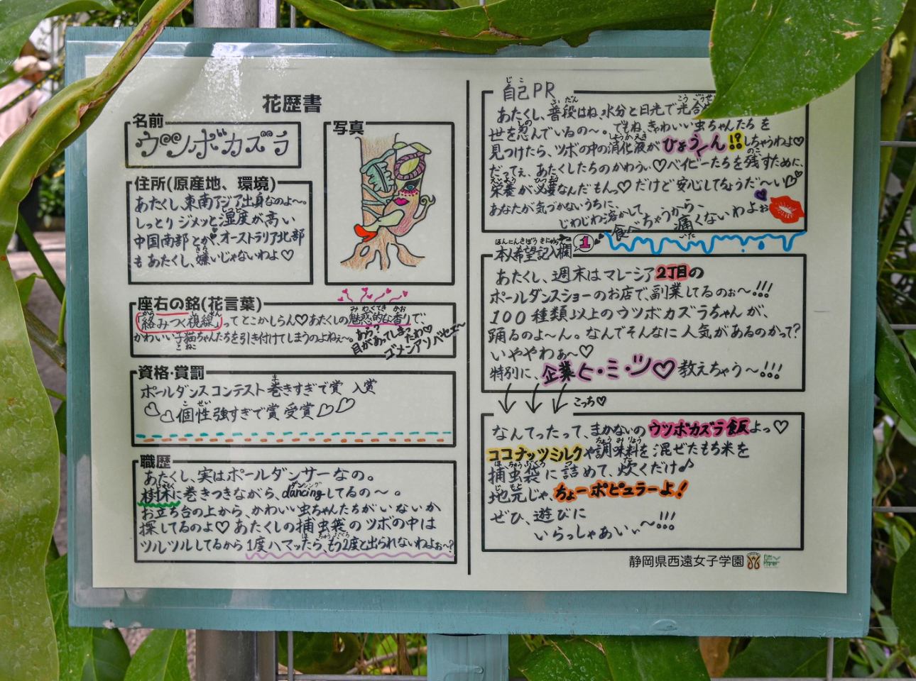 はままつフラワーパーク_花歴書