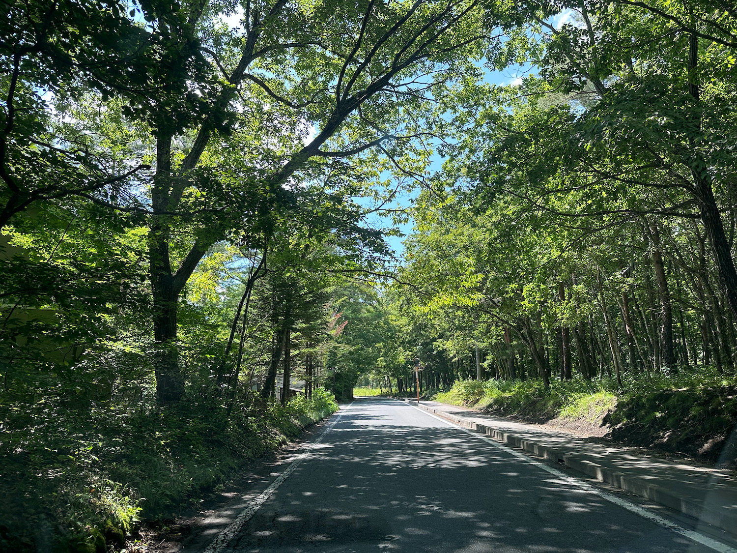 1000メートル林道