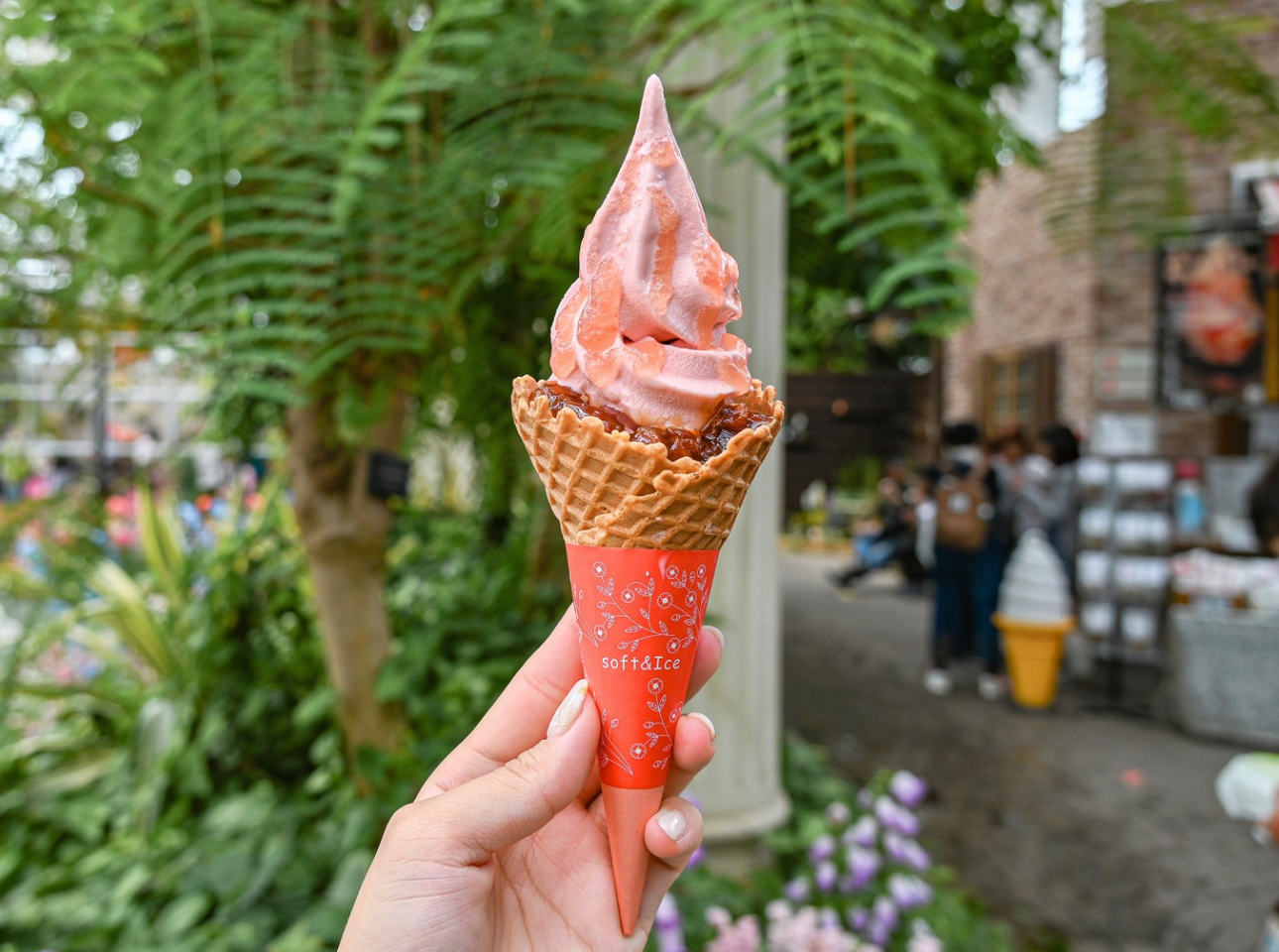 はままつフラワーパーク_キングローズソフト
