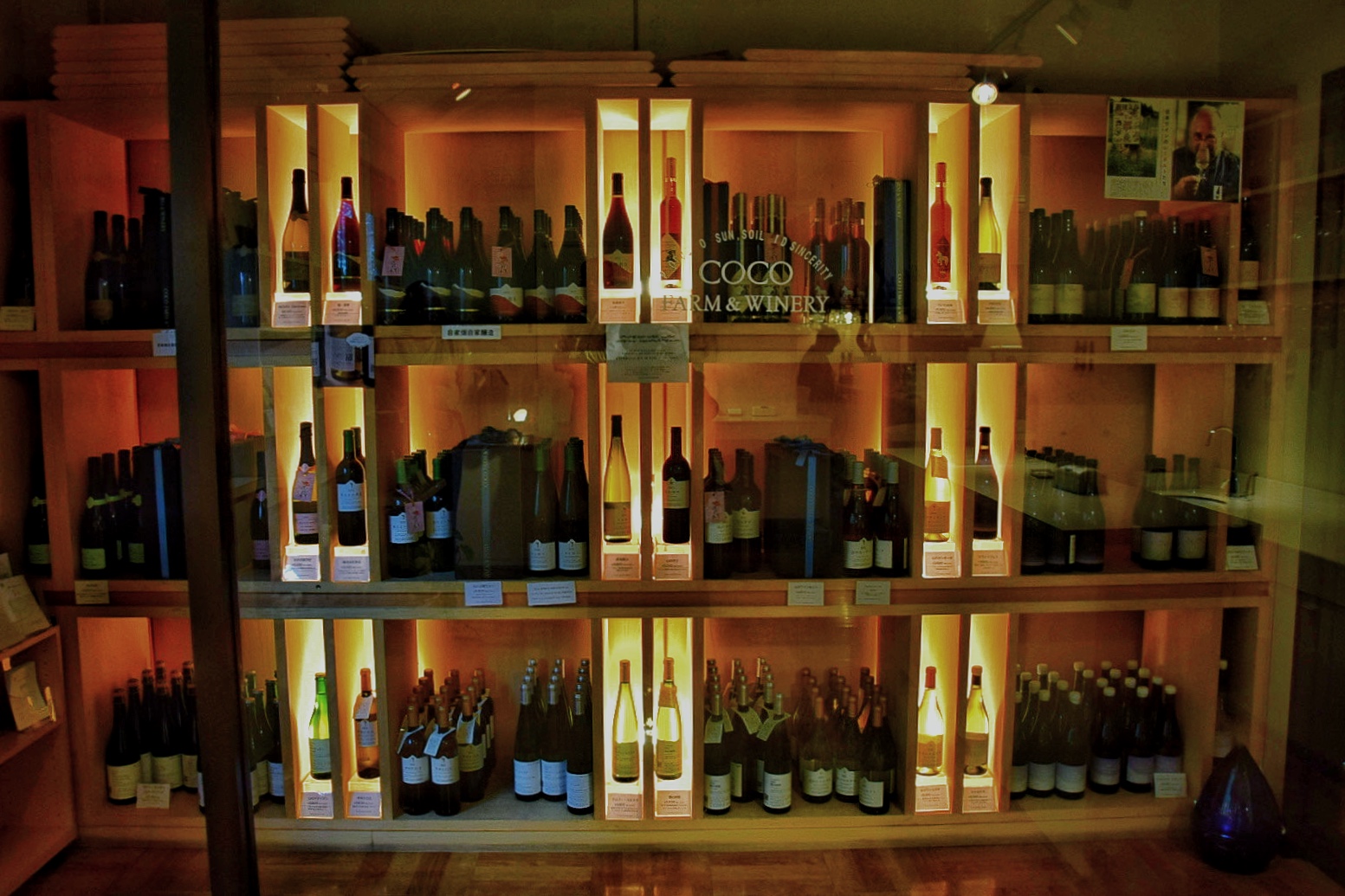 ココ・ファーム・ワイナリー_ワインセラー