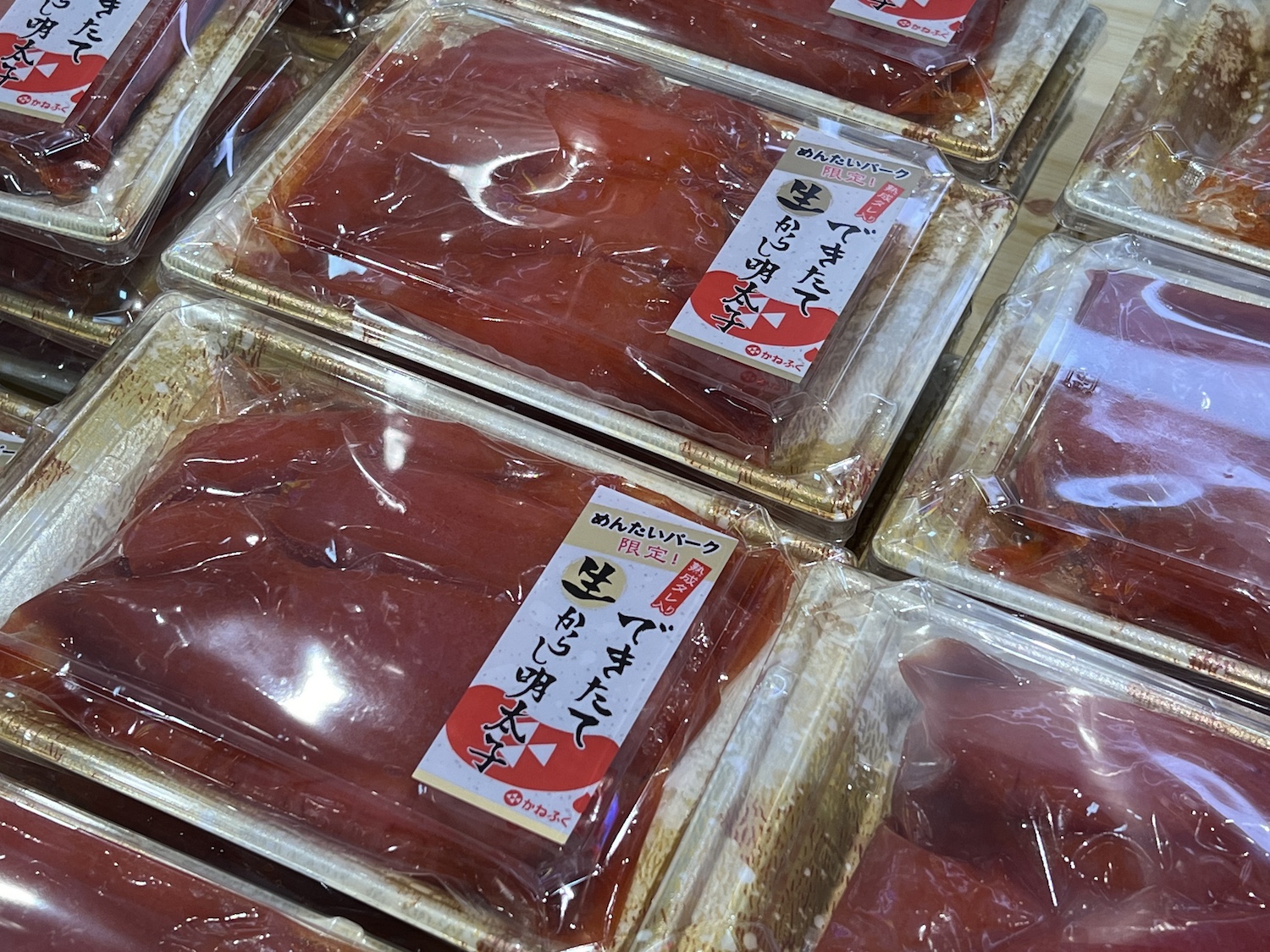 めんたいパーク伊豆2