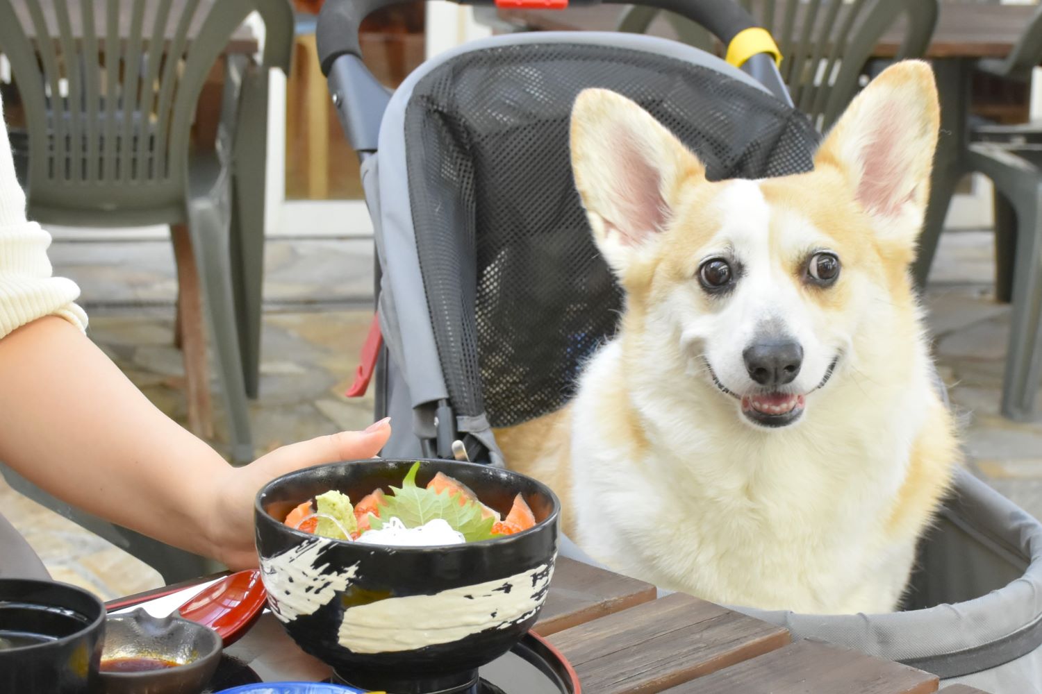 伊豆高原 旅の駅 ぐらんぱるぽーと