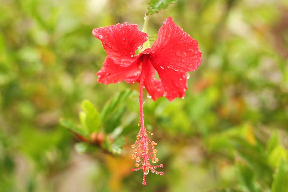 沖縄梅雨