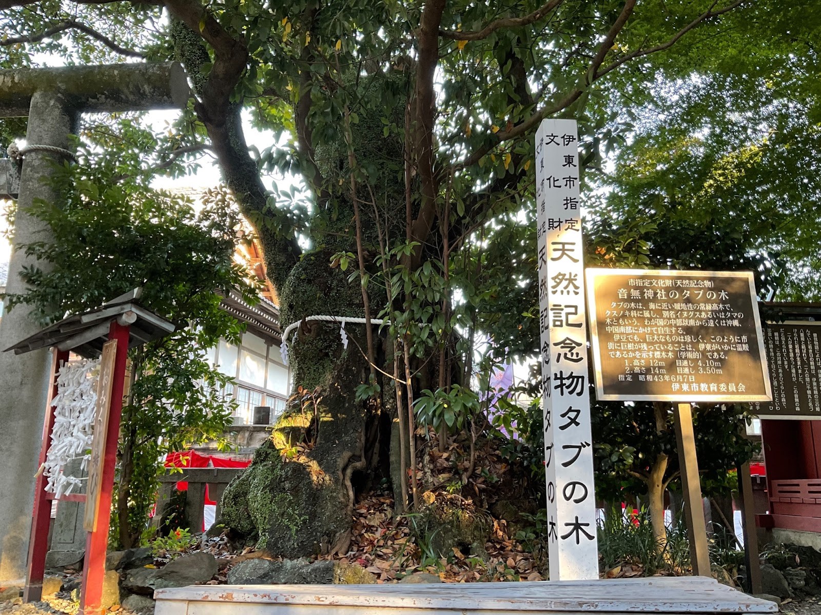伊東　音無神社０