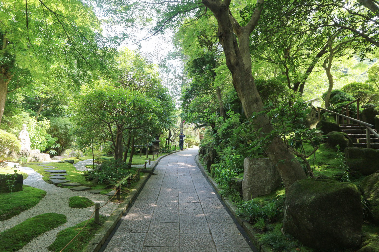 報国寺2