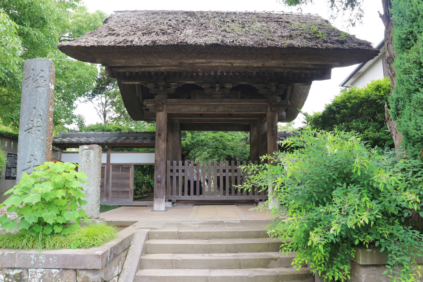鎌倉・極楽寺の見どころはここ！四季の草花に癒される江ノ電の旅