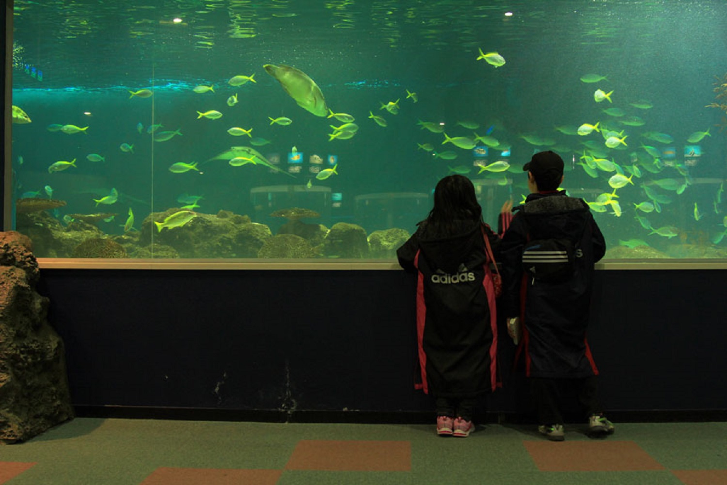 サンピアザ水族館