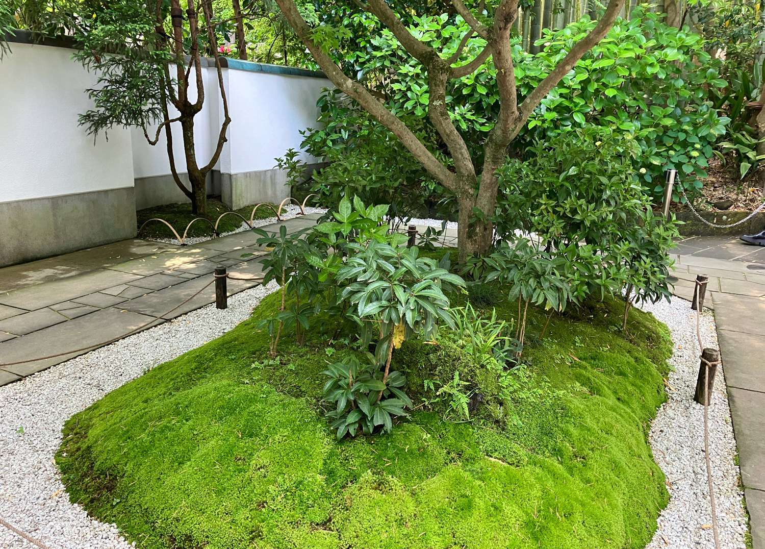 報国寺 竹の庭
