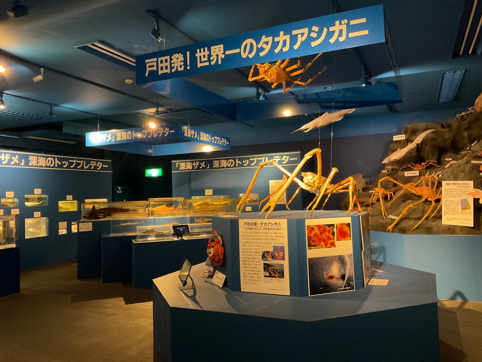 駿河湾深海生物館