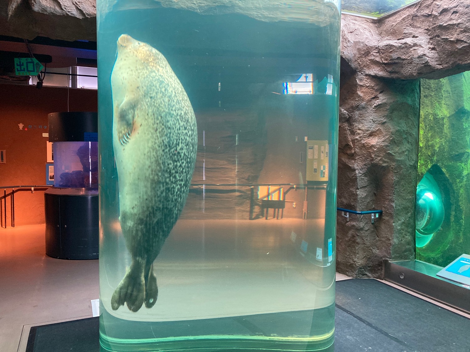 旭山動物園5