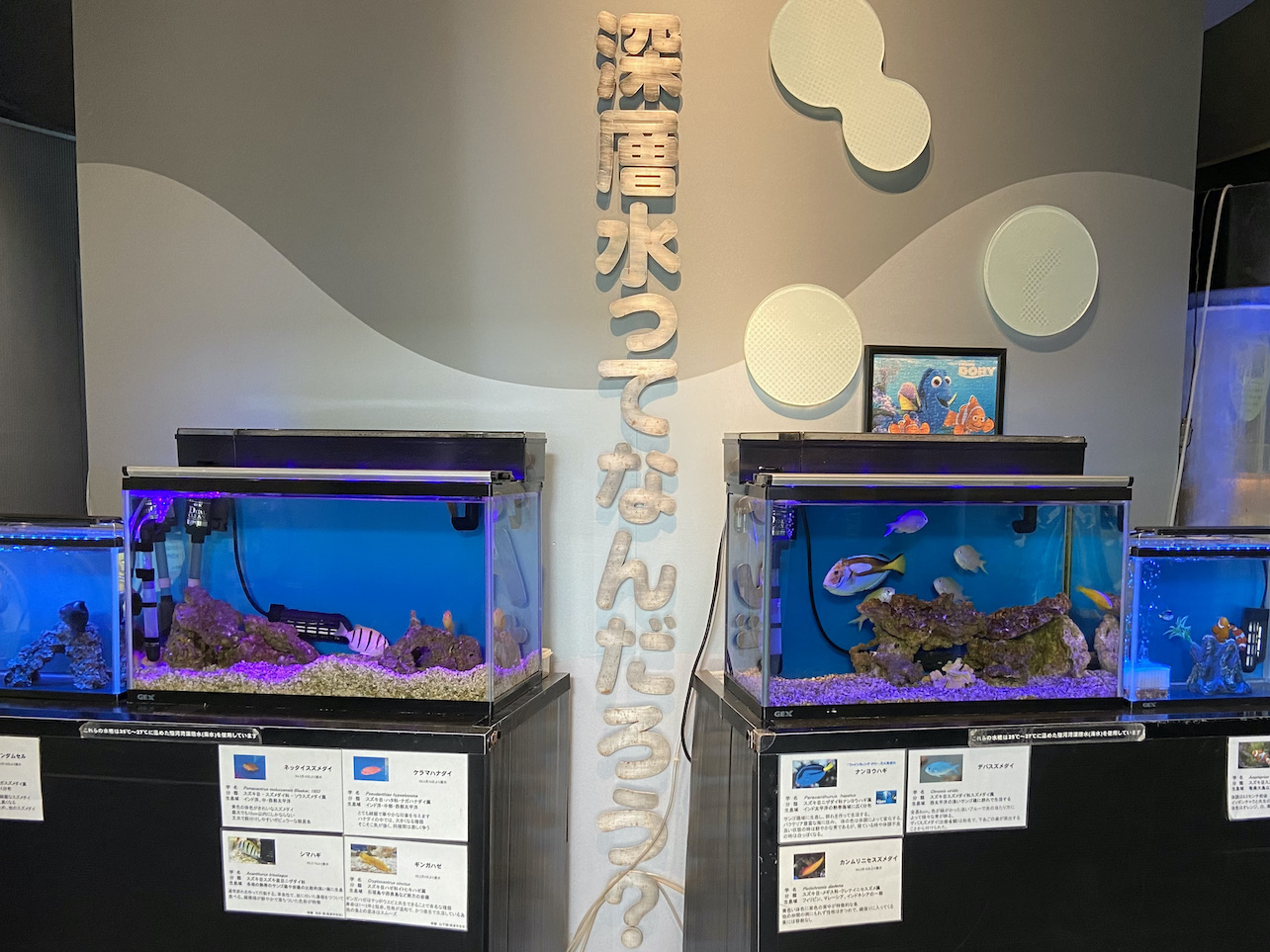 深層水ミュージアム
