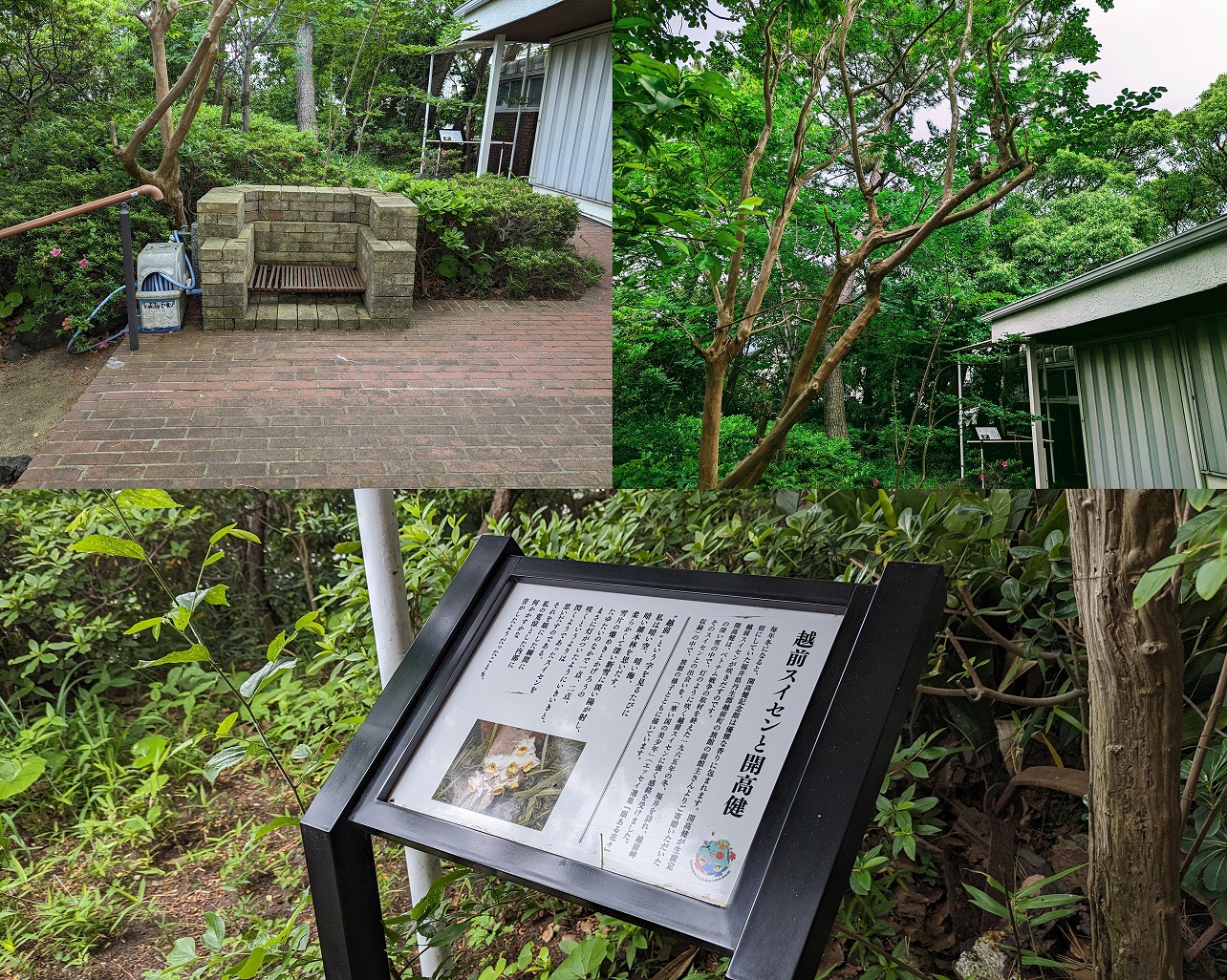 開高健記念館　庭園