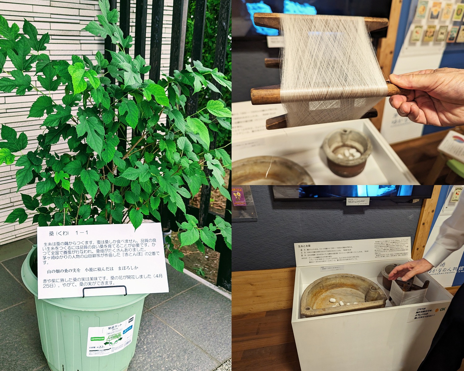 茅ヶ崎ゆかりの人物館　資料