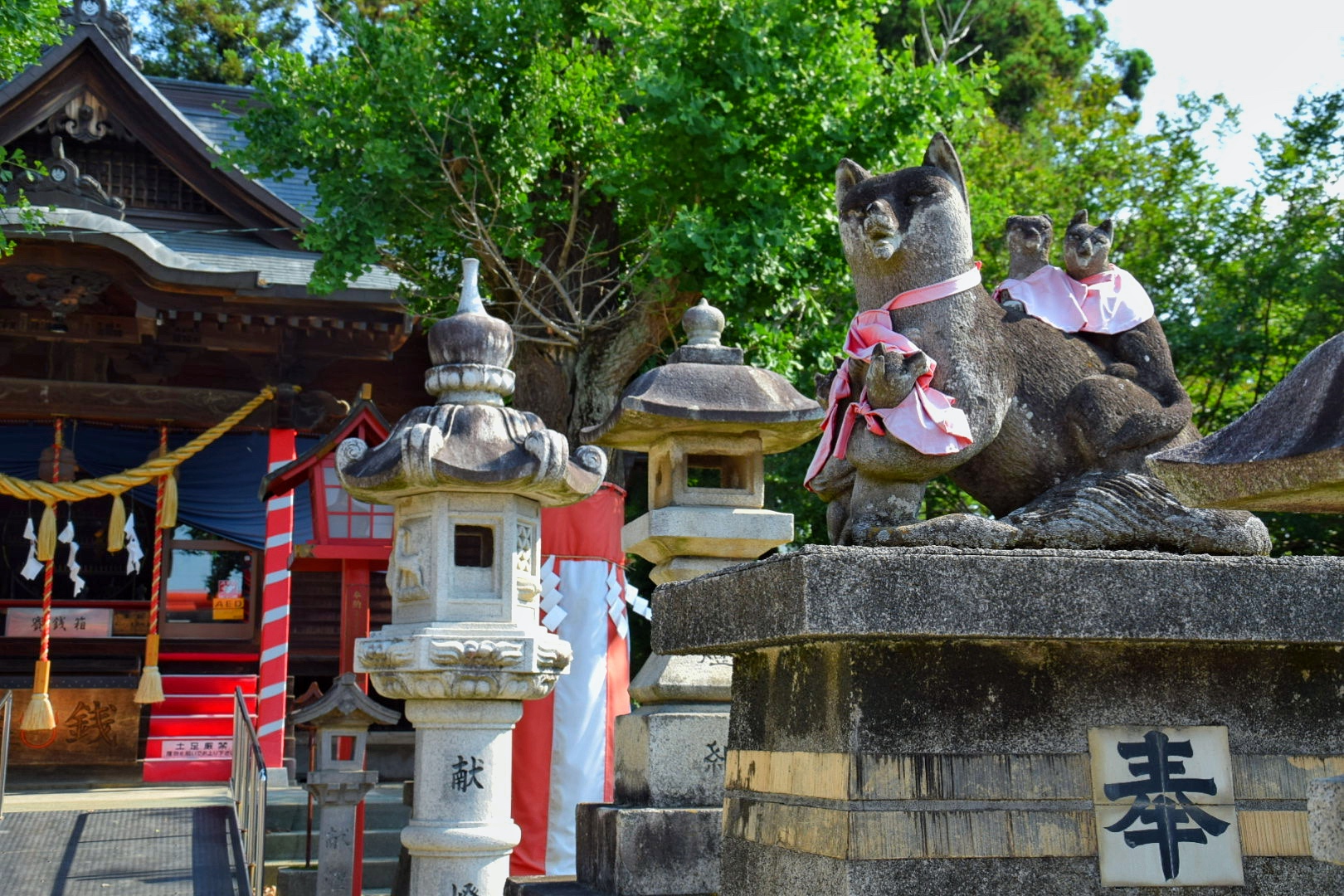 小泉稲荷神社_狛狐
