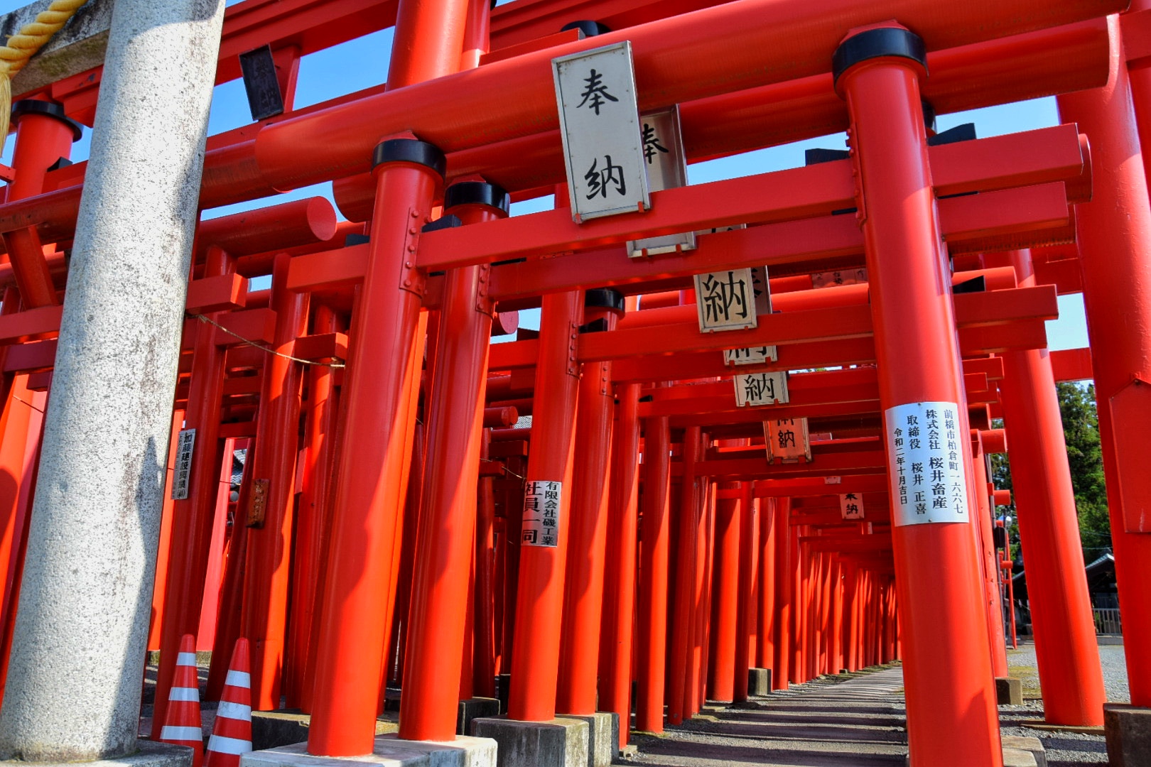 小泉稲荷神社_鳥居