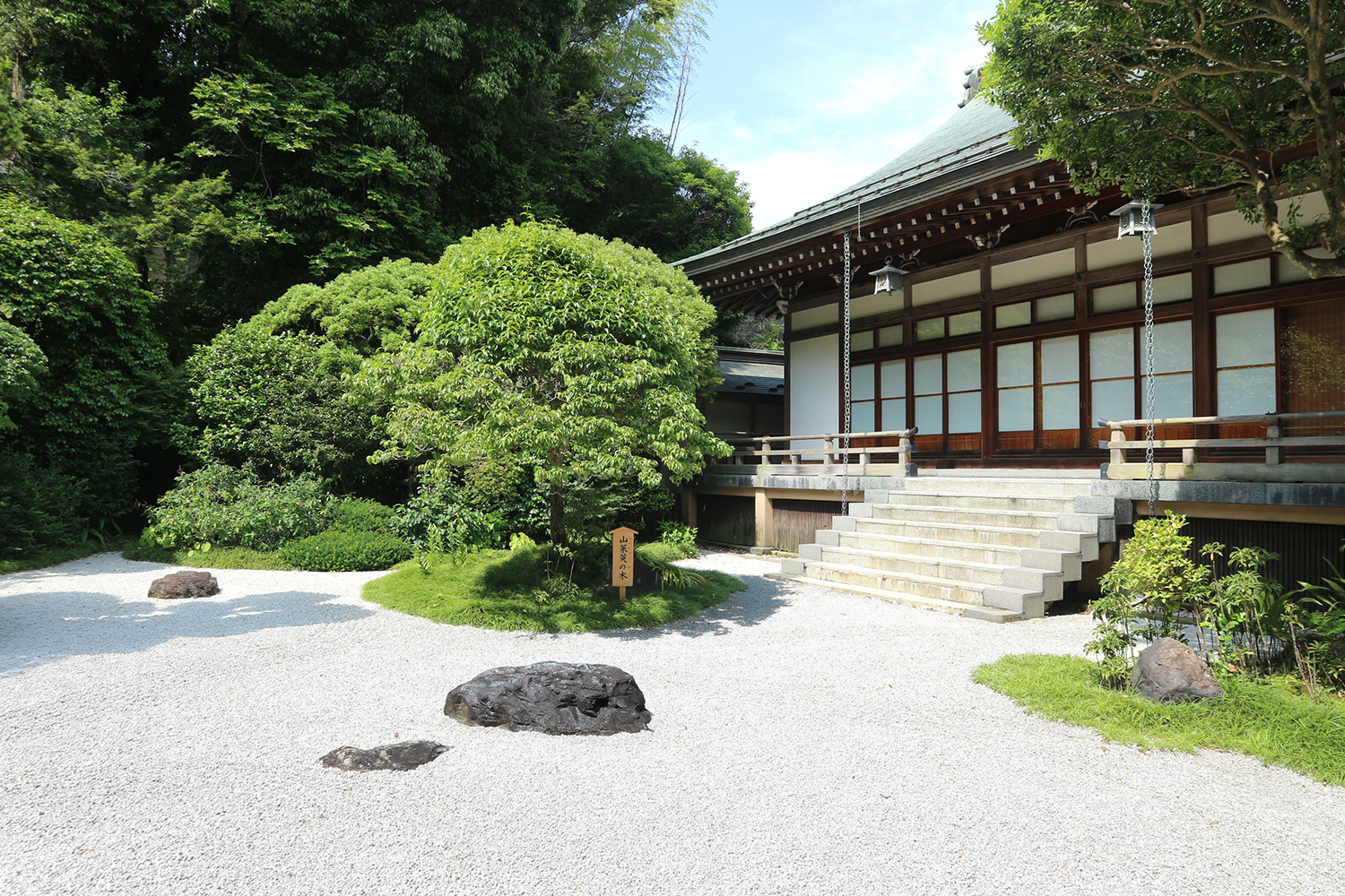 報国寺　竹の庭2