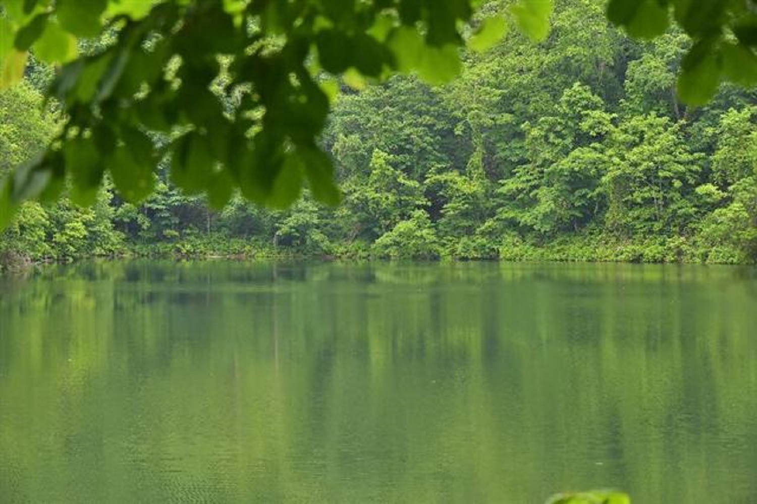 半月湖畔自然公園