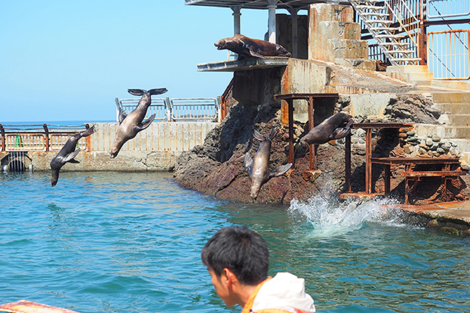 おたる水族館