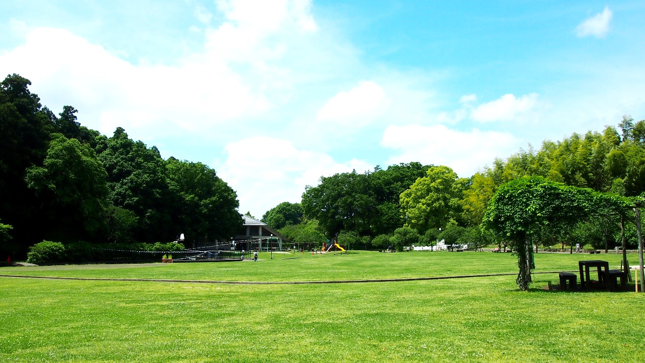 柏市あけぼの山農業公園の芝生広場