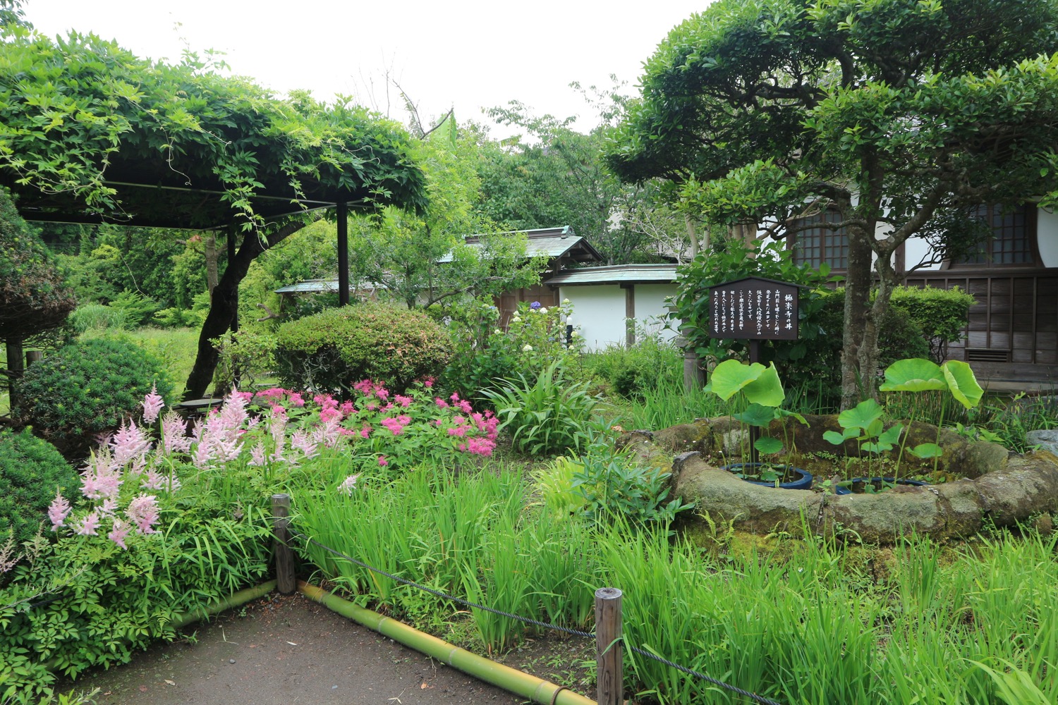 極楽寺 井戸