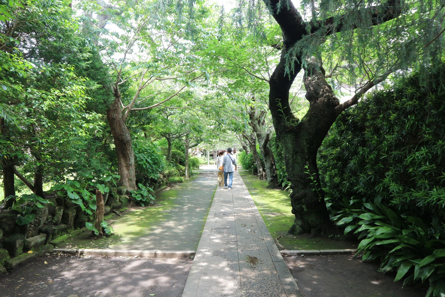 極楽寺 トンネル