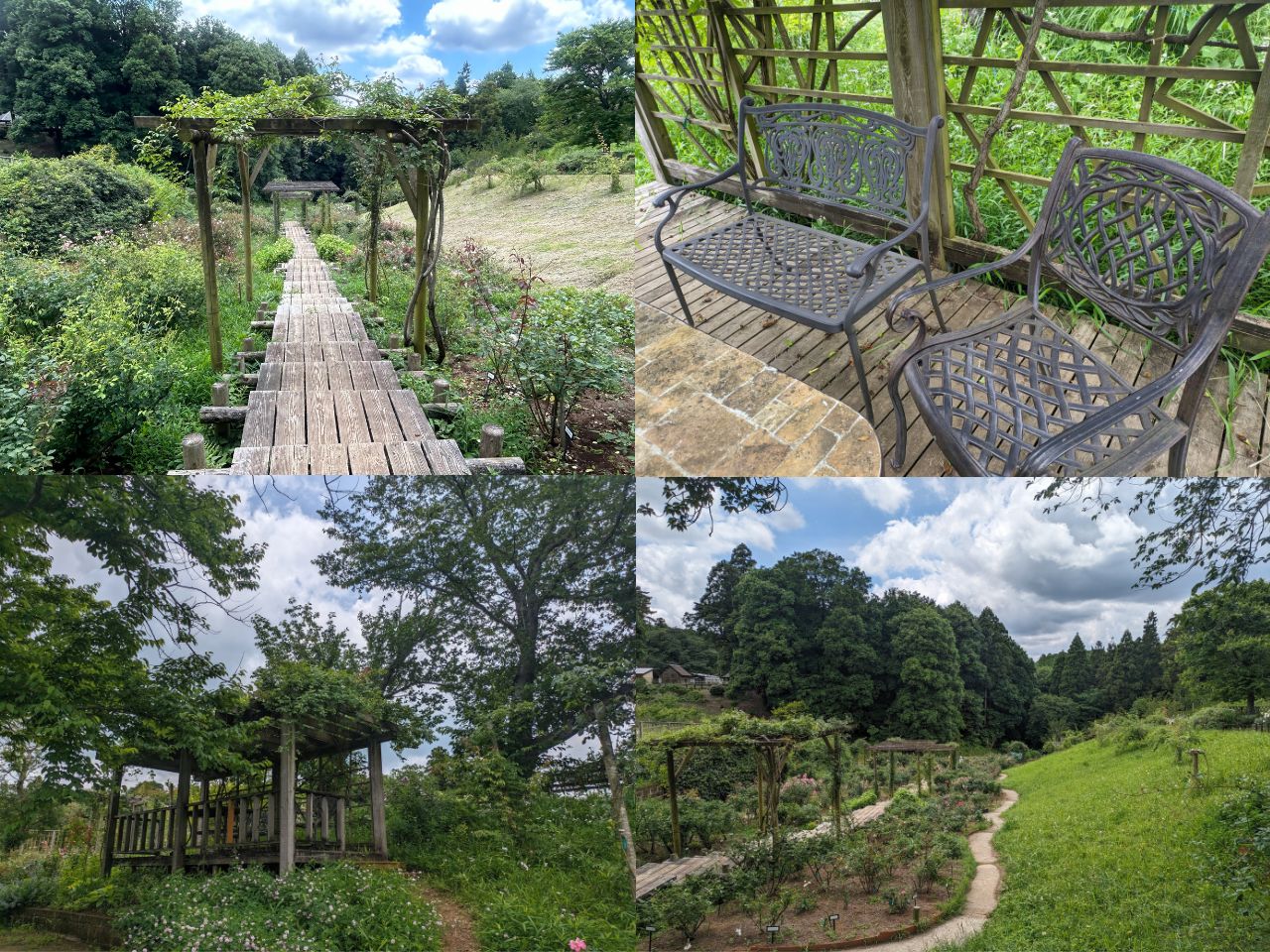 佐倉バラ園の各コーナーの様子