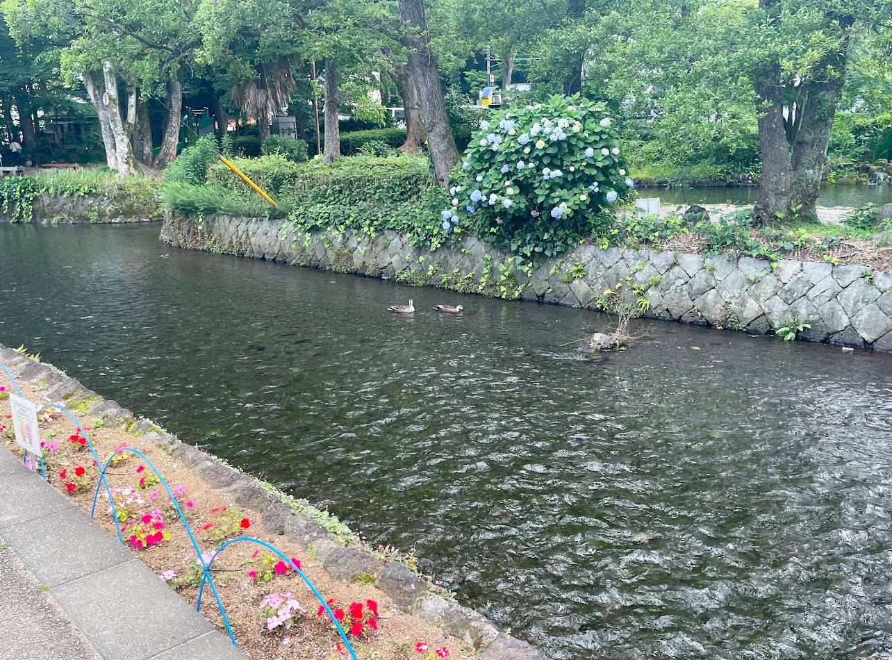 三島の白滝公園周辺