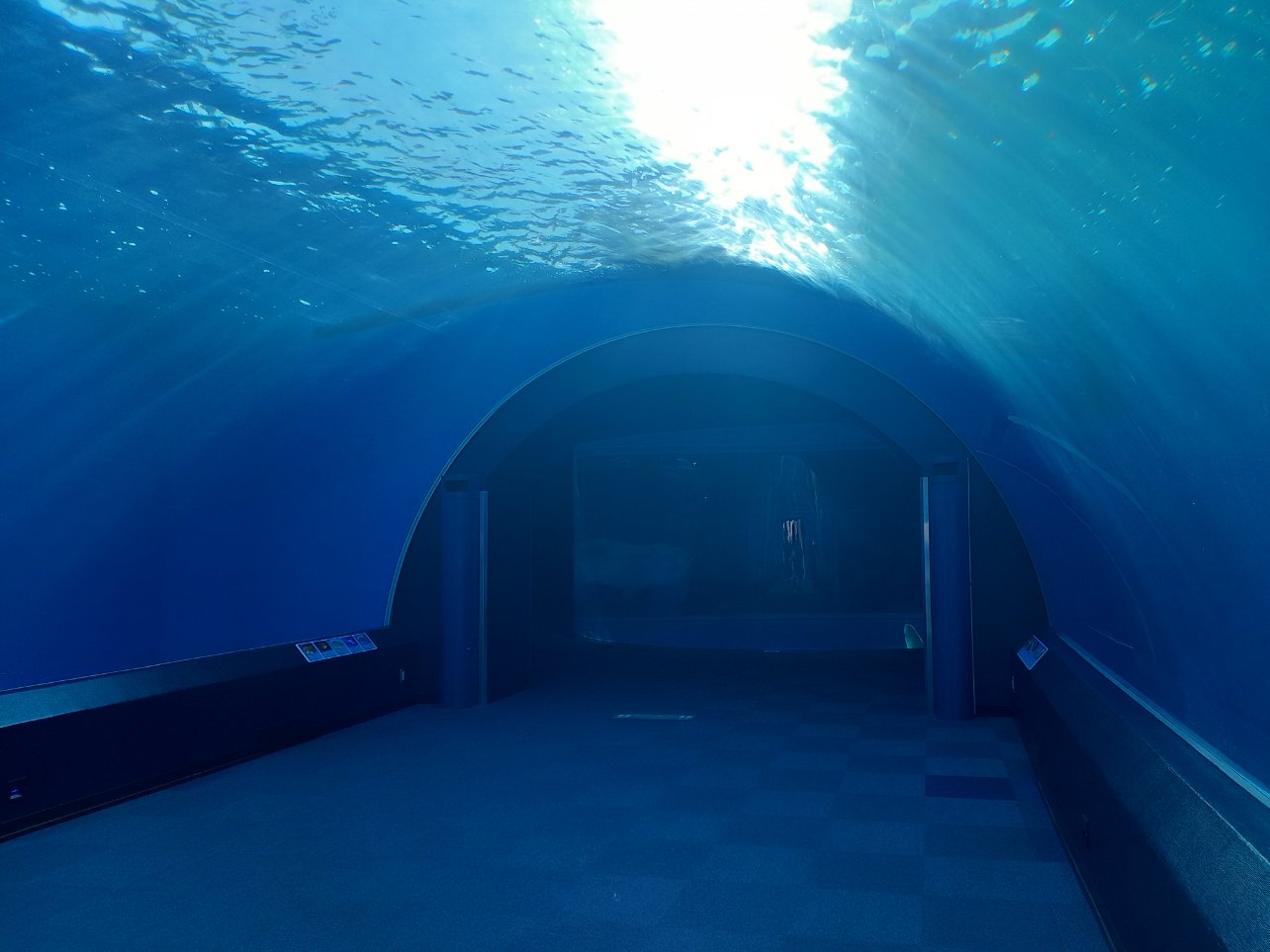 横浜・八景島シーパラダイス