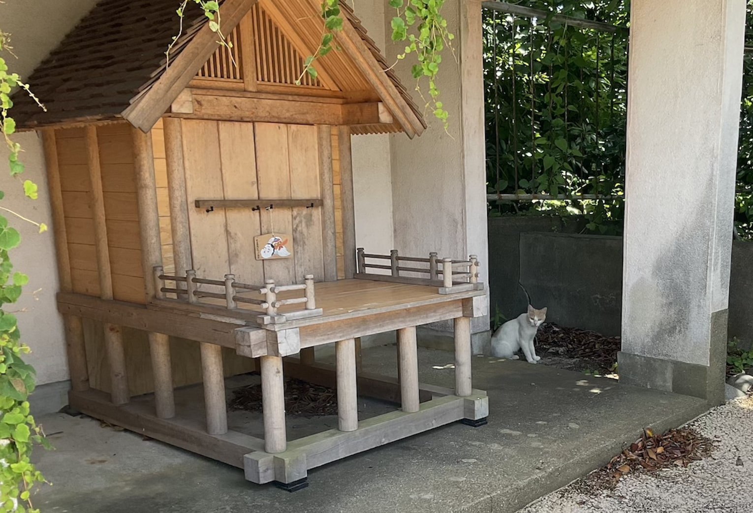 どんつく神社周辺2