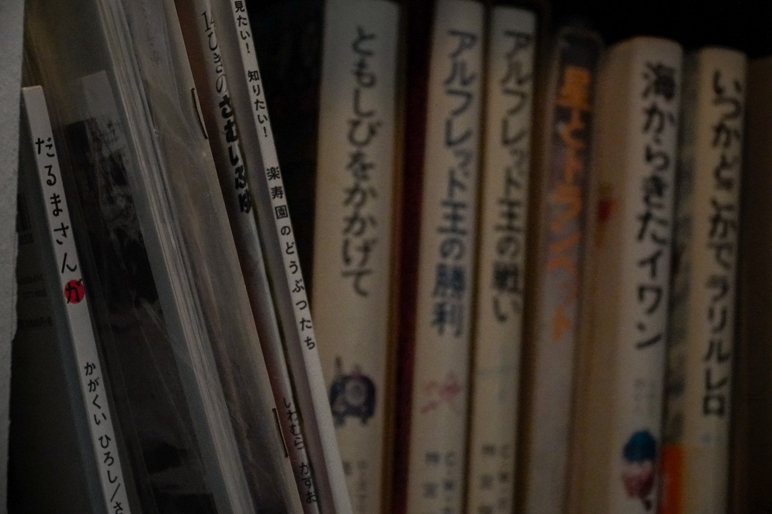 GALLERY.BOOK.CAFE DEN2