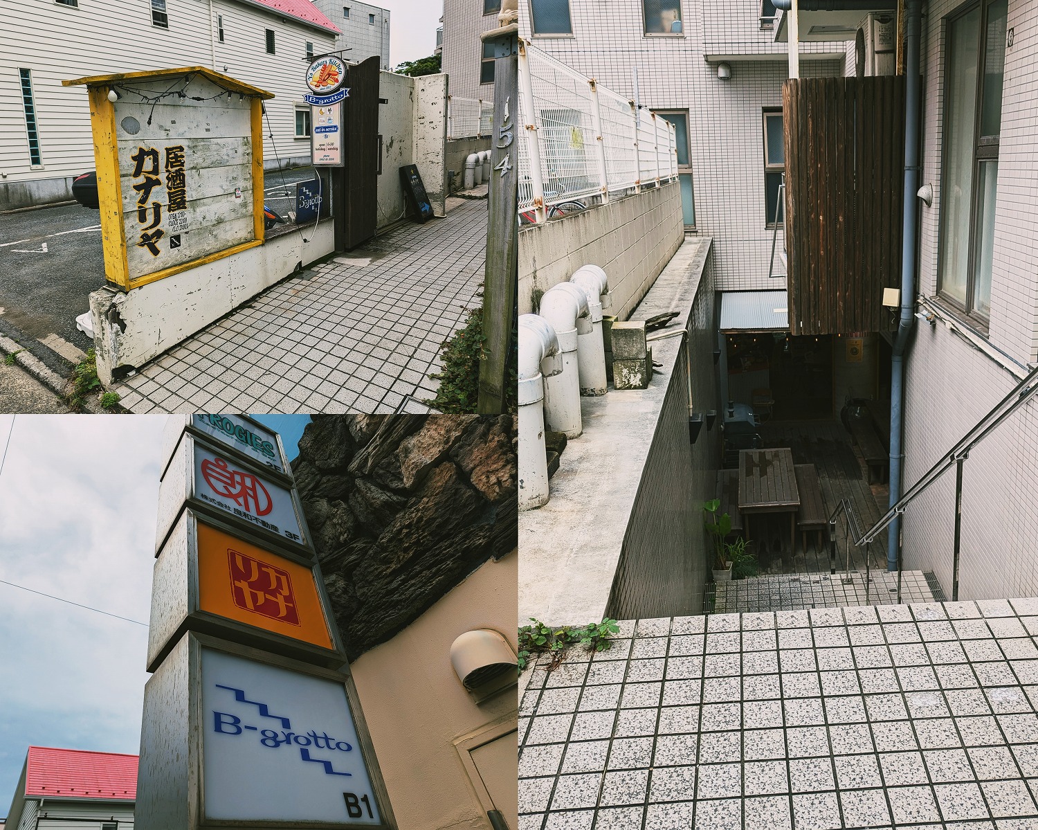 カナリヤ　外観