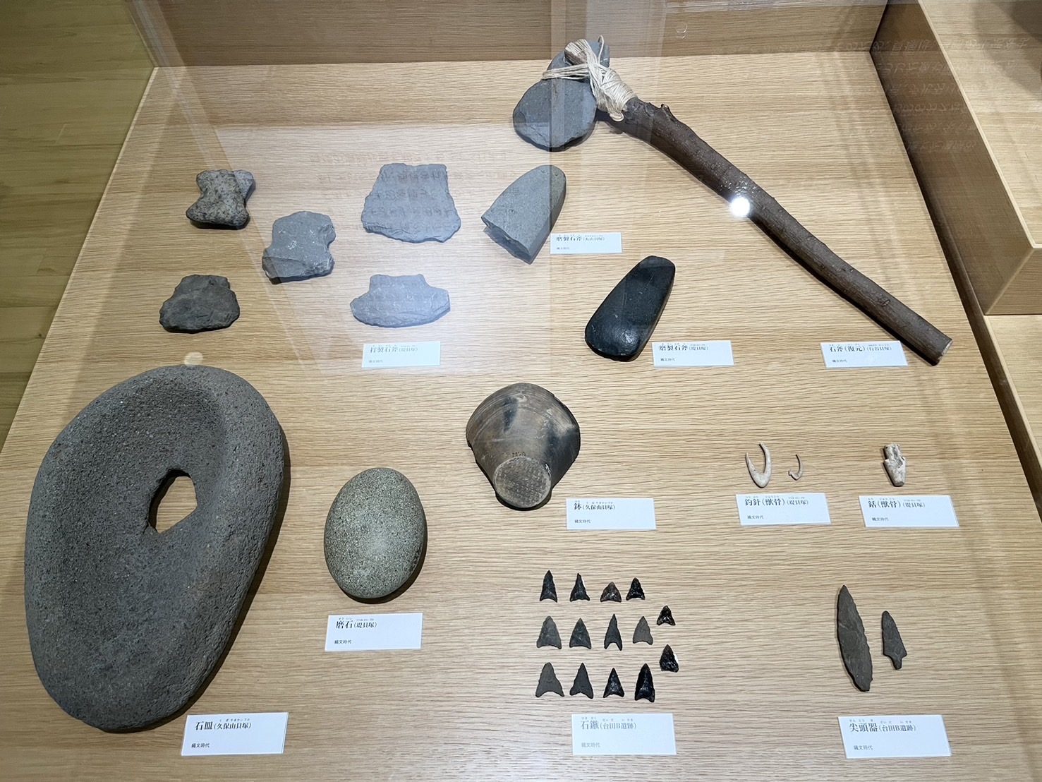 海のコーナーの展示