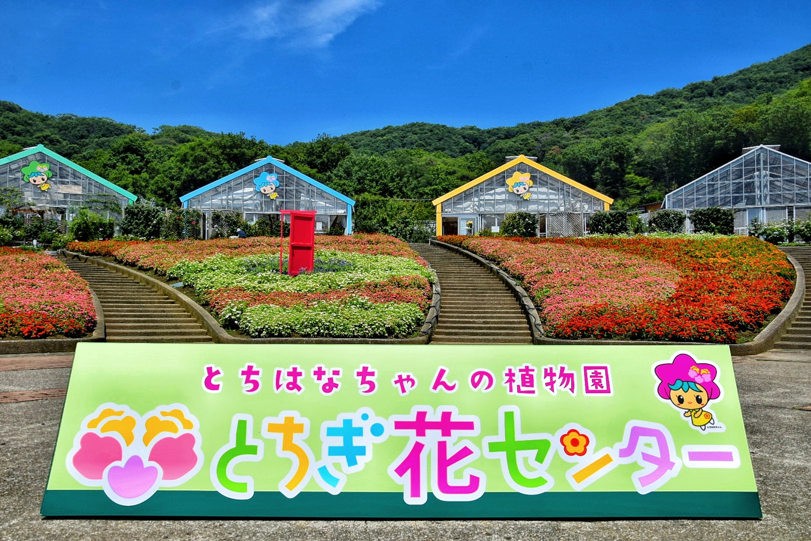 とちぎ花センター