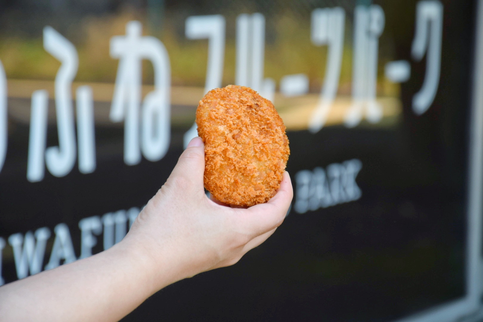 いわふねフルーツパーク_味彩コロッケ