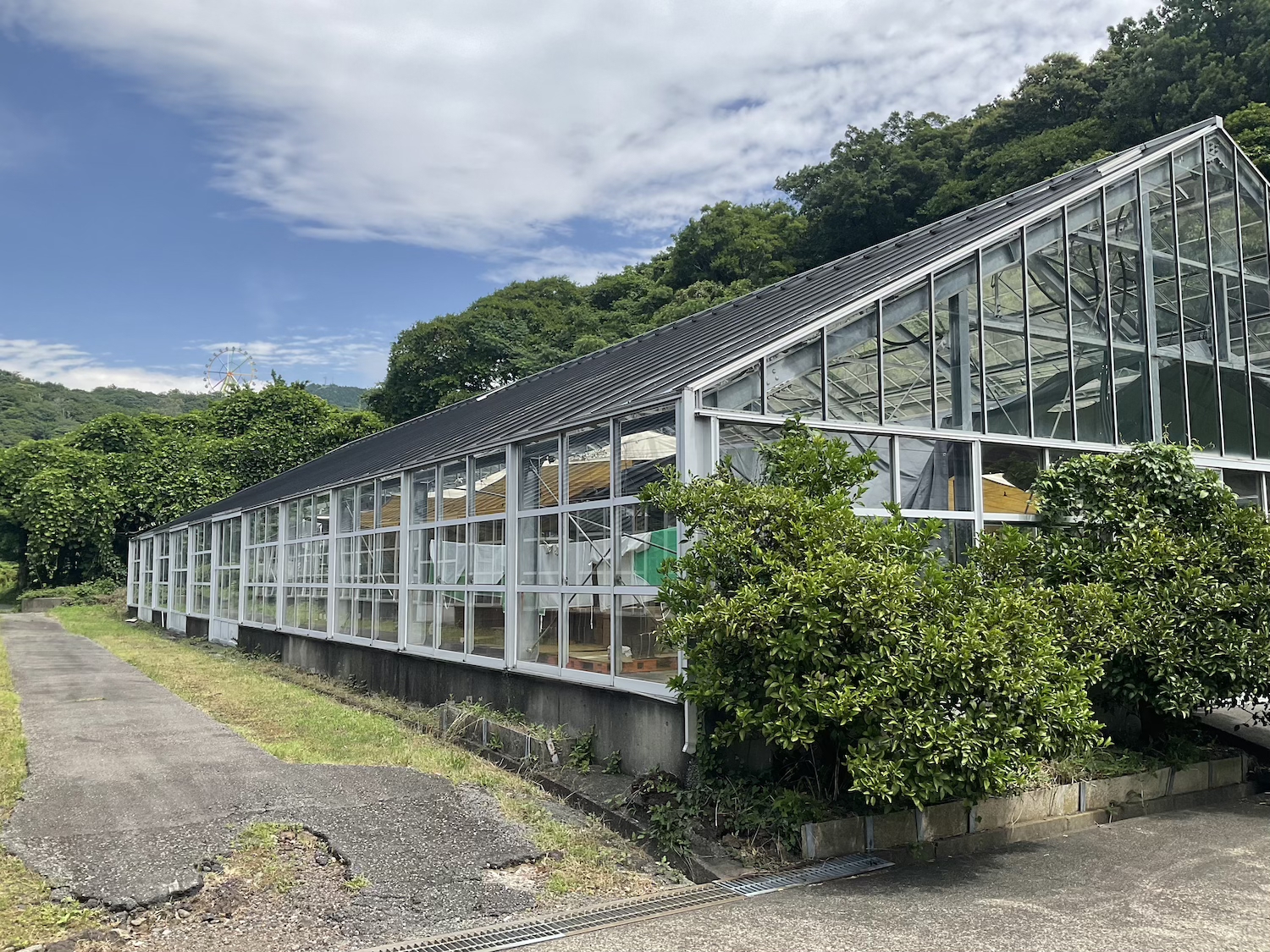 東伊豆ワイナリー　ガラスハウス