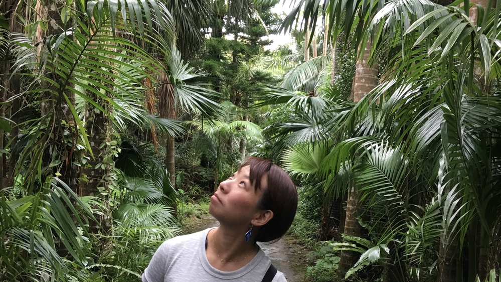 對馬千恵