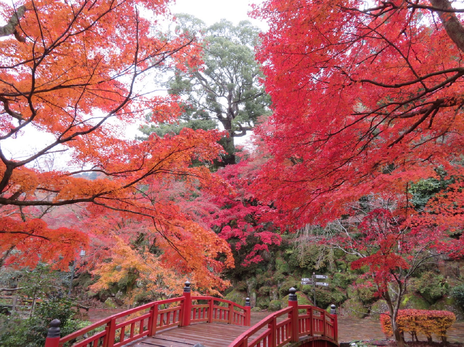 熱海梅園