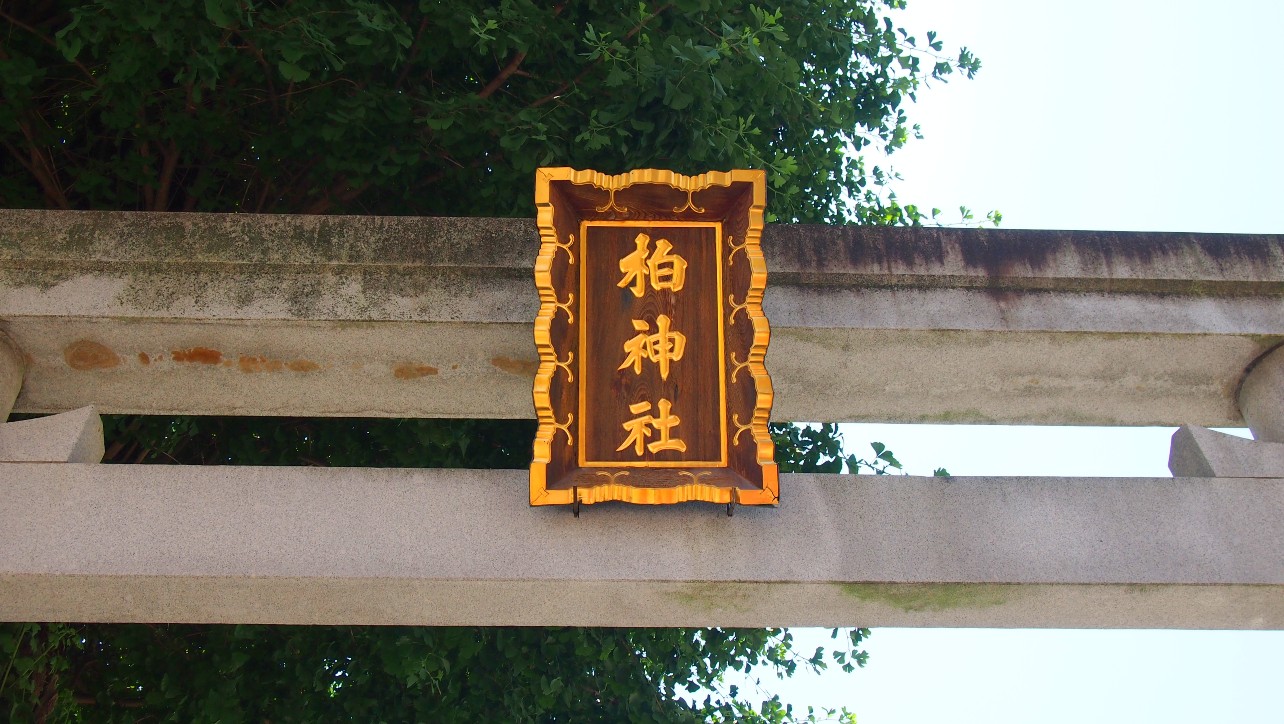 柏神社　鳥居アップ