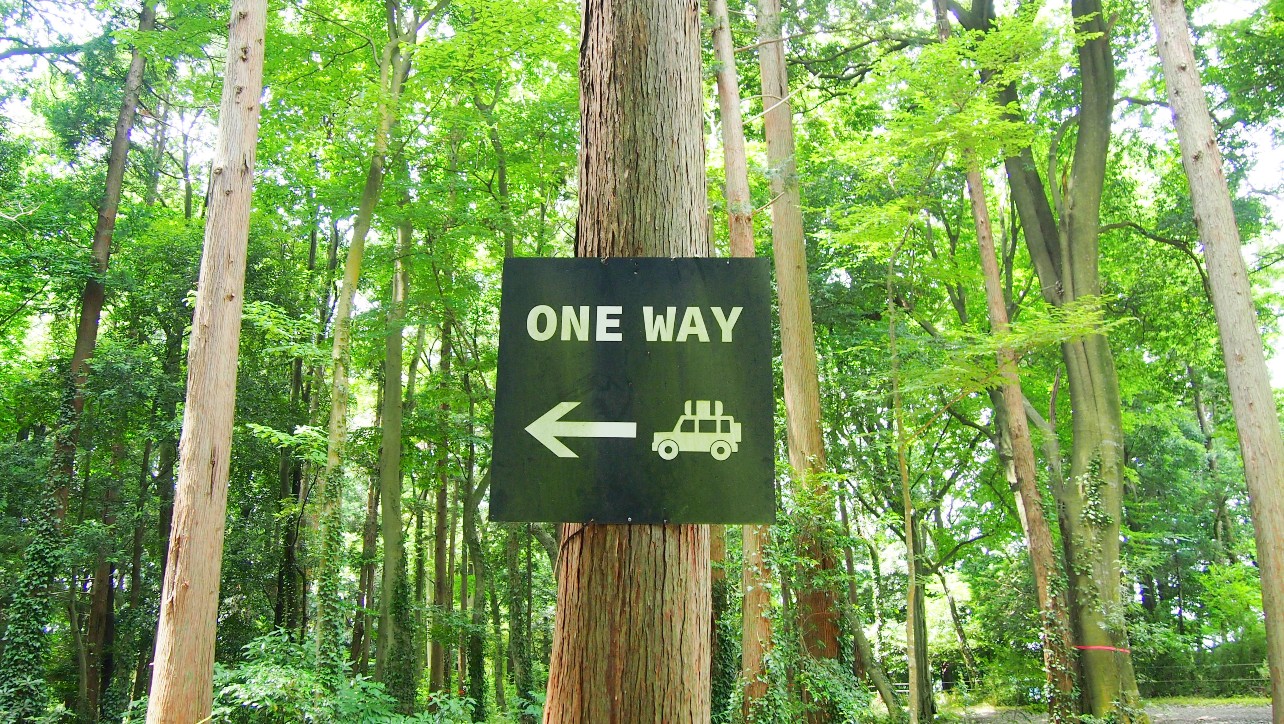 手賀の丘公園　内部